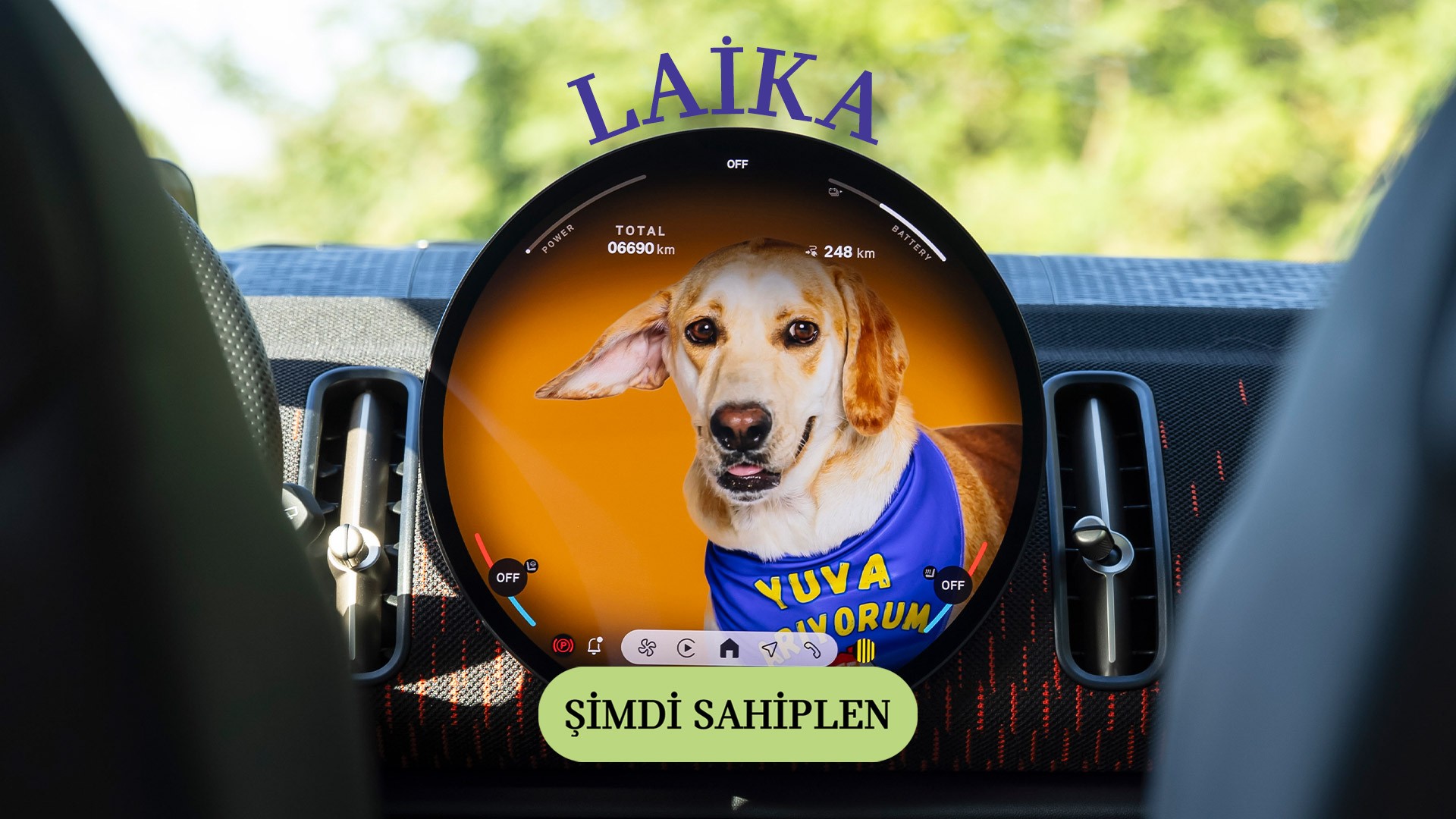 MINI Pati | MINI Türkiye